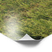 牧草地の中のカンザスレッドホース写真の拡大 フォトプリント            (角)