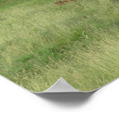 牧草地の平和な日の牛の写真ポスター ポスター (角)