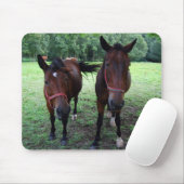 牧草地の濃い茶色の馬 マウスパッド (マウス)