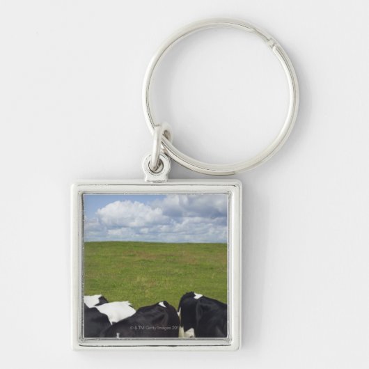 牧草地の牛 キーホルダー (正面)