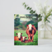 牧草地の牛 シーズンポストカード (スタンド正面)