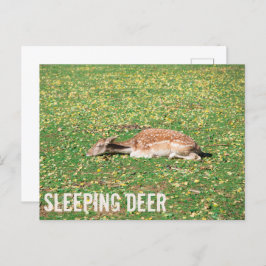 牧草地の秋に冬眠する鹿 シーズンポストカード