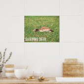 牧草地の秋に冬眠する鹿 ポスター (キッチン)