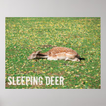 牧草地の秋に冬眠する鹿