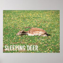 牧草地の秋に冬眠する鹿 ポスター