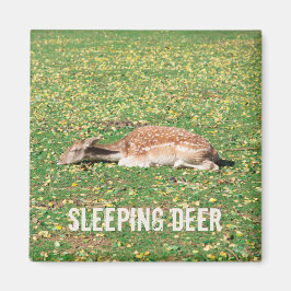 牧草地の秋に冬眠する鹿 マグネット