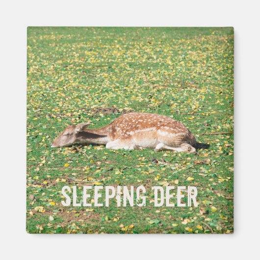 牧草地の秋に冬眠する鹿 マグネット (正面)