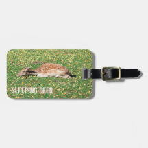 牧草地の秋に冬眠する鹿