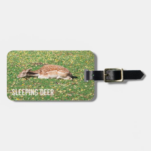 牧草地の秋に冬眠する鹿 ラゲッジタグ (正面横)