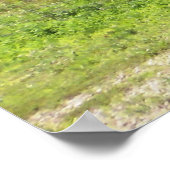 牧草地の羊と聖なる書物、 経典プリント ポスター (角)