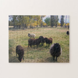 牧草地の羊 ジグソーパズル