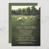 牧草地の羊|ファミリ懇親会 招待状 (正面/裏面)