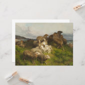 牧草地の羊(フリードリ威厳があるヒ・シェンク) カード (正面/裏面インサイチュ)