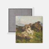 牧草地の羊(フリードリ威厳があるヒ・シェンク) マグネット (正面/裏面)