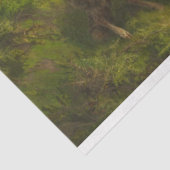 牧草地の羊(フリードリ威厳があるヒ・シェンク) 薄葉紙 (詳細)