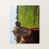 牧草地の若い茶色の牛 ジグソーパズル (縦)