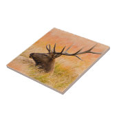 牧草地の草の中で休むエルク（エゾウ） タイル (側面)