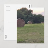 牧草地の農家 ポストカード (正面/裏面)