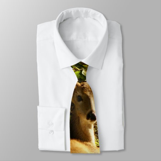 牧草地の首のネクタイの中の若いバック ネクタイ (タイ)