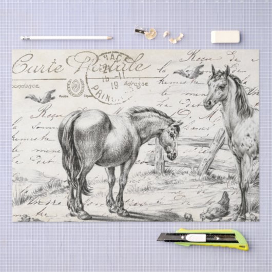 牧草地の馬のスクリプフランスのトの分離 薄葉紙 (クラフト)