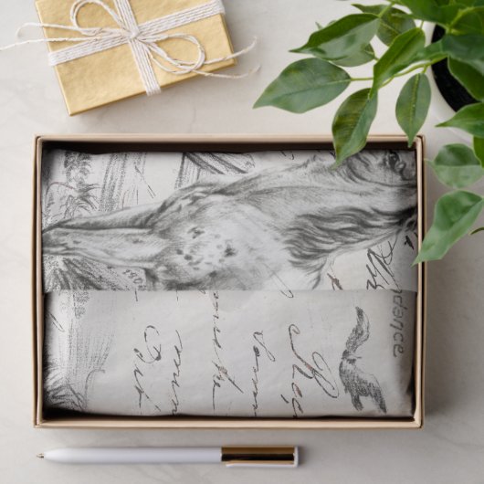 牧草地の馬のスクリプフランスのトの分離 薄葉紙 (ギフト)