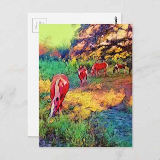 牧草地の馬デジタル絵画ズ ポストカード (正面/裏面)