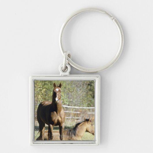 牧草地の馬 キーホルダー (正面)