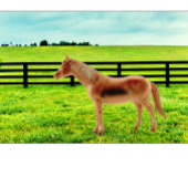 牧草地の馬 クッション