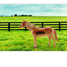 牧草地の馬 クッション