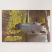 牧草地の馬 ジグソーパズル (横)