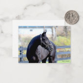 牧草地の馬 ノートカード (正面/裏面インサイチュ)