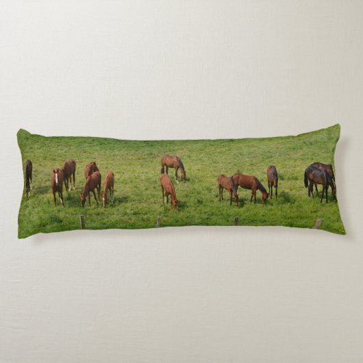 牧草地の馬 ボディピロー (裏面)