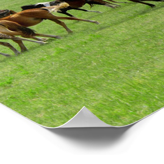 牧草地の馬 – 風景写真 ポスター (角)