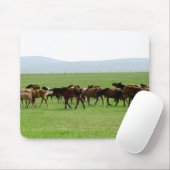 牧草地の馬 – 風景写真 マウスパッド (マウス)