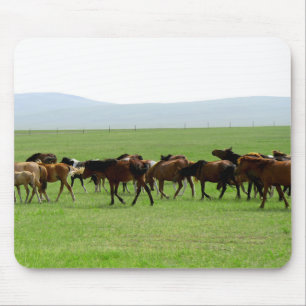 牧草地の馬 – 風景写真 マウスパッド