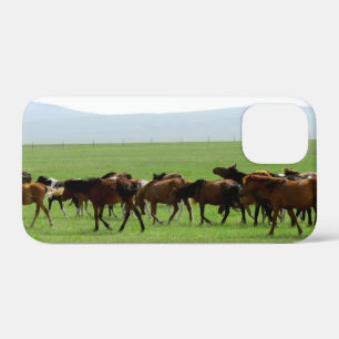 牧草地の馬 – 風景写真 iPhone 12 MINI ケース