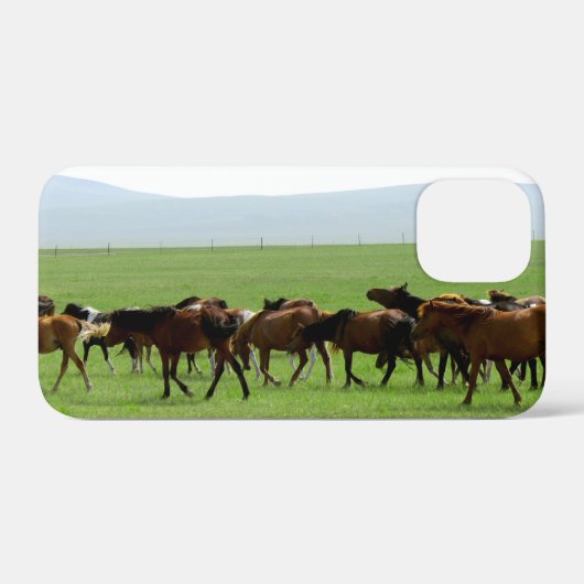 牧草地の馬 – 風景写真 Case-Mate iPhoneケース (裏面 (横))