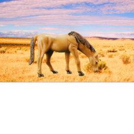 牧草地の馬 Tシャツ