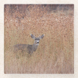 牧草地の鹿 ガラスコースター