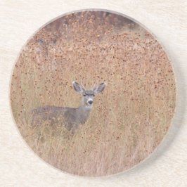 牧草地の鹿 コースター