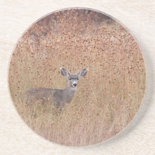 牧草地の鹿 コースター (正面)