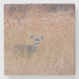 牧草地の鹿 ストーンコースター