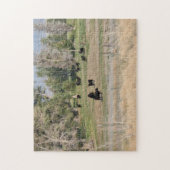 牧草地の黒アンガス ジグソーパズル (縦)