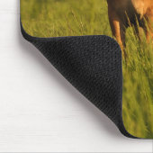 牧草地のMeg マウスパッド (コーナー)