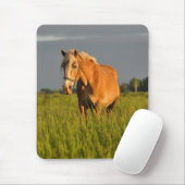 牧草地のMeg マウスパッド (マウス)