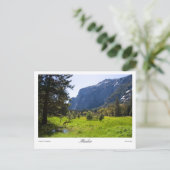 牧草地はがき ポストカード (スタンド正面)