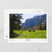 牧草地はがき ポストカード (正面/裏面)