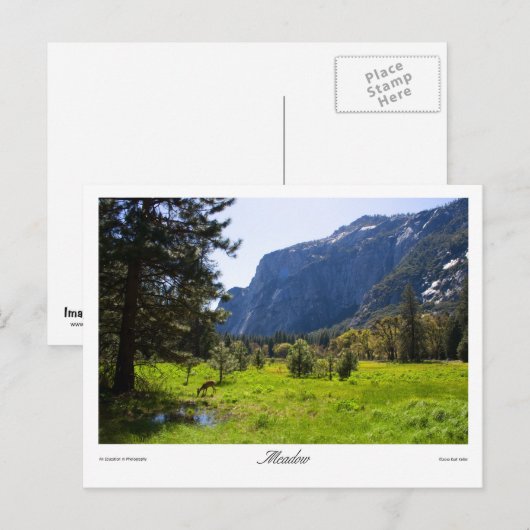 牧草地はがき ポストカード (正面/裏面)