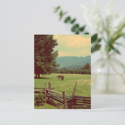 牧草地へ ポストカード (スタンド正面)