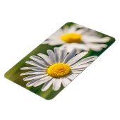 牧草地デイジー花 マグネット (左側)